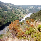 DSCN3524