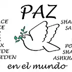 Paz Bandera_1