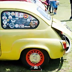 CAS_3731