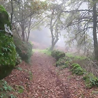 024-IMG_4020