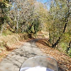 DSCN9000