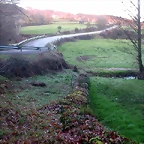 DSCN5835