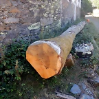 DSCN4572