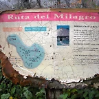 DSCN0977