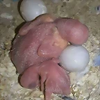 FB_IMG_1540570776488