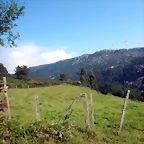 DSCN5687