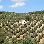 cortijo de Temisto