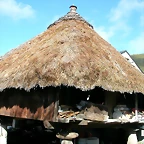 DSCN7778