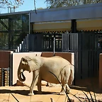Zoo de Barcelona 03-04-11 030
