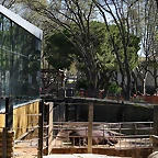 Zoo de Barcelona 03-04-11 032