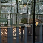 Zoo de Barcelona 04-04-11 005
