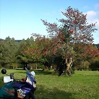 DSCN9231
