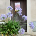 IMG_7782