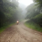 DSCN5440