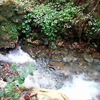 DSCN6282