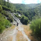 DSCN3575