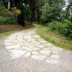 DSCN4306
