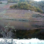 DSCN6491
