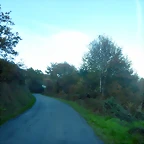 DSCN8972