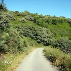 DSCN9179
