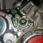 DSCN3500
