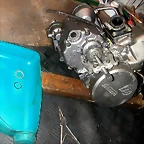 DSCN3485