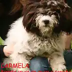 Carmela Cantabria