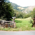 DSCN7162
