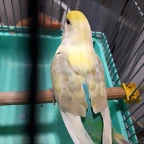 20191030_203645