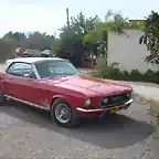 67 Mustang 003