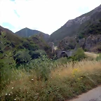 DSCN4071