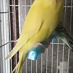 FB_IMG_1493745015098
