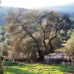 05 junto al arroyo de la caada de beda, marca