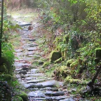 36-IMG_3182