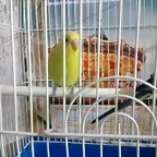 20190101_192308
