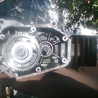 znela 45
