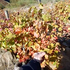 DSCN1730