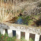 DSCN9336