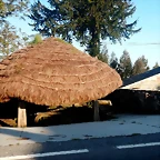DSCN6279