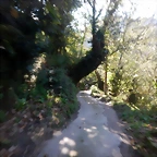 DSCN4203