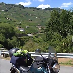 IMG_20220809_164205