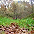 20-IMG_4156