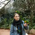 Weltvogelpark Walsrode 782