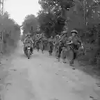 2nd Glasgow Highlanders, 46th Brigade, 15th (Scottish) Division, avanzando cerca de Caumont,