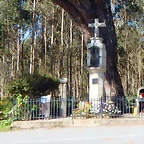 DSCN0091