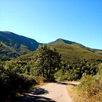DSCN7747
