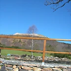 DSCN7961