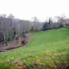 DSCN3503