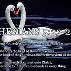 Ephesians-5-22-24