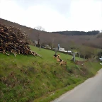 DSCN8963